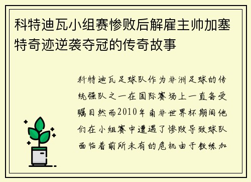 科特迪瓦小组赛惨败后解雇主帅加塞特奇迹逆袭夺冠的传奇故事